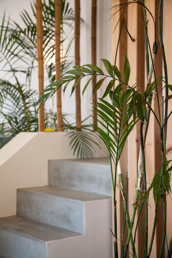 Villa Sal 拉戈阿 外观 照片